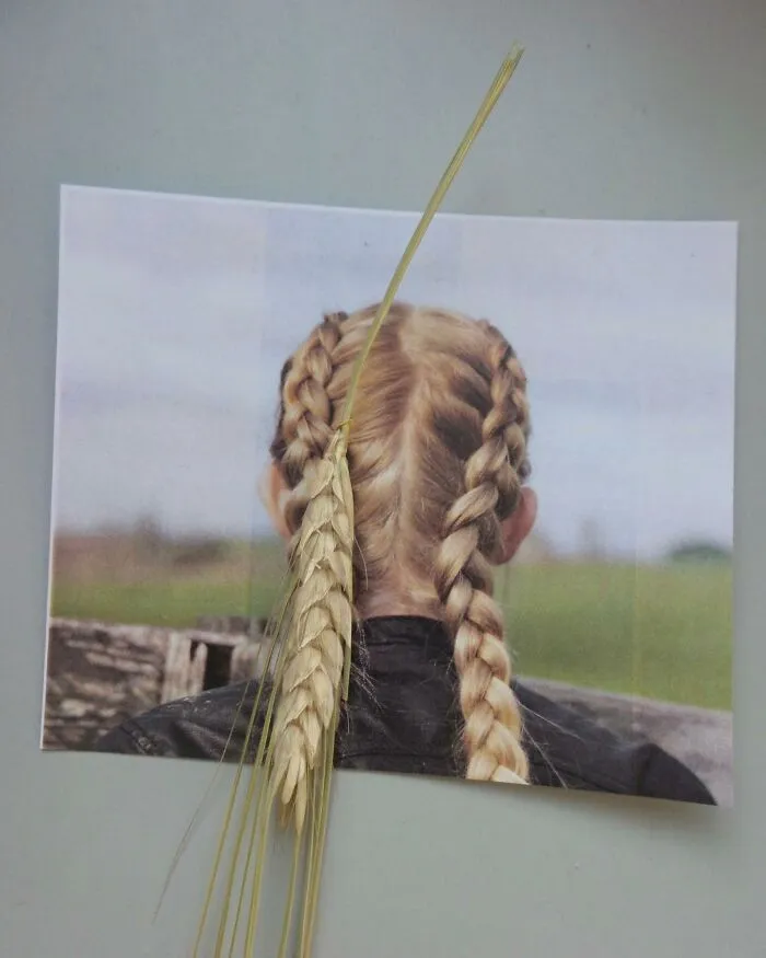 I Blend Two Unrelated Objects Into One Visually Recognizable Piece (35 New Pics)