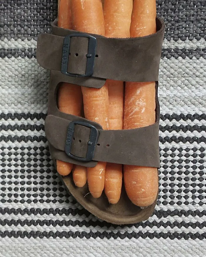I Blend Two Unrelated Objects Into One Visually Recognizable Piece (35 New Pics)