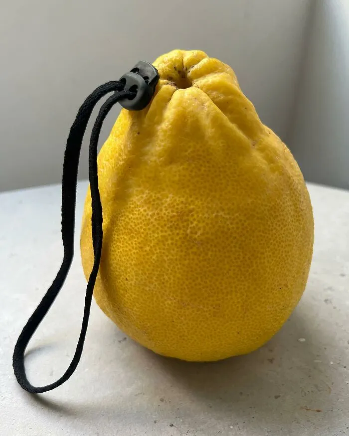 I Blend Two Unrelated Objects Into One Visually Recognizable Piece (35 New Pics)