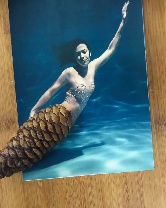 I Blend Two Unrelated Objects Into One Visually Recognizable Piece (35 New Pics)