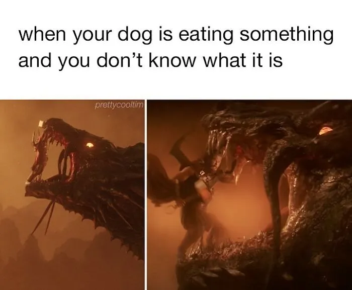23 Memes To Lift Your Spirits, As Shared By This Instagram Page