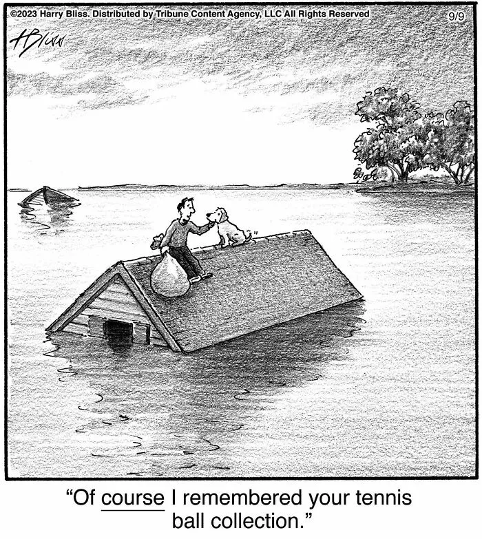 35 Clever One-Panel Comics To Make You Smile By Harry Bliss (New Pics)