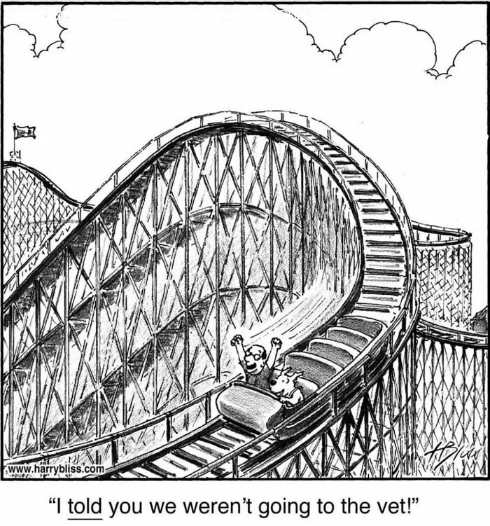 35 Clever One-Panel Comics To Make You Smile By Harry Bliss (New Pics)
