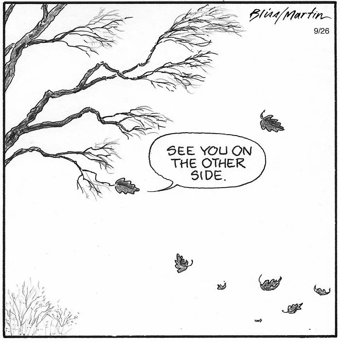 A one-panel comic by Harry Bliss showing a leaf falling from a bare tree, saying, See you on the other side.