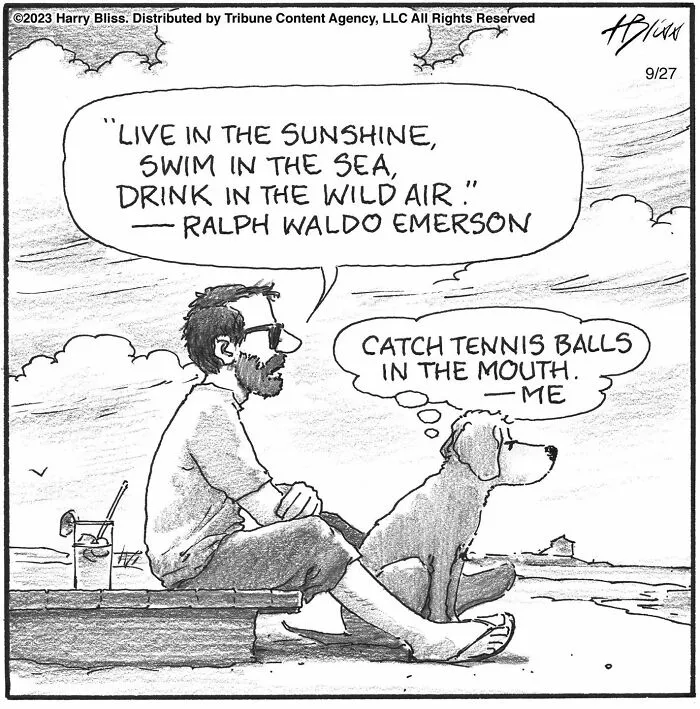 35 Clever One-Panel Comics To Make You Smile By Harry Bliss (New Pics)