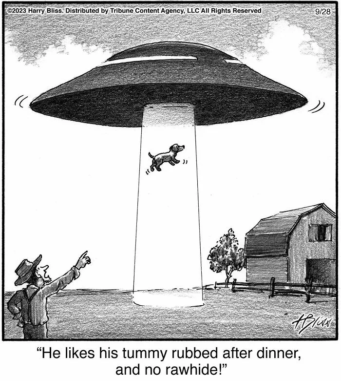 35 Clever One-Panel Comics To Make You Smile By Harry Bliss (New Pics)