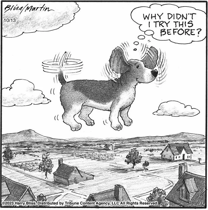35 Clever One-Panel Comics To Make You Smile By Harry Bliss (New Pics)