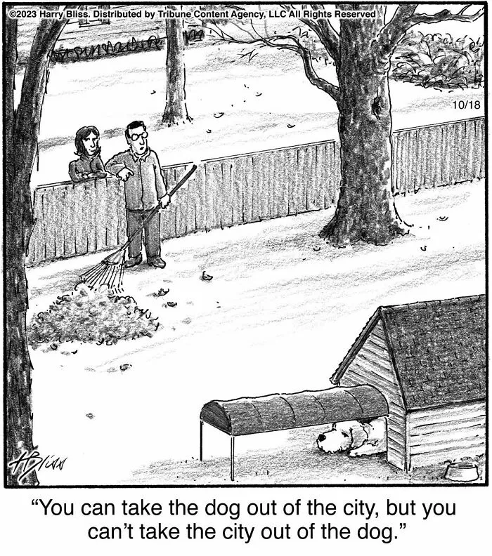 A one-panel comic by Harry Bliss depicts a dog in a long tunnel leading from a city house to a rural doghouse.