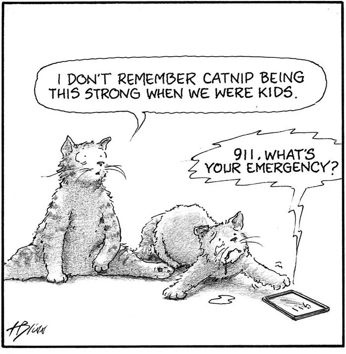 35 Clever One-Panel Comics To Make You Smile By Harry Bliss (New Pics)