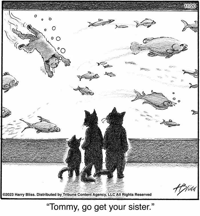 35 Clever One-Panel Comics To Make You Smile By Harry Bliss (New Pics)