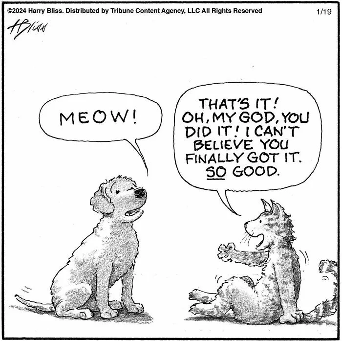35 Clever One-Panel Comics To Make You Smile By Harry Bliss (New Pics)
