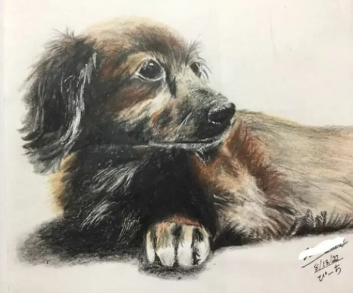I Started Drawing Hyper-Realistic Art Using Pencil Crayons 3 Years Ago, Here Are 15 Of My Best Works
