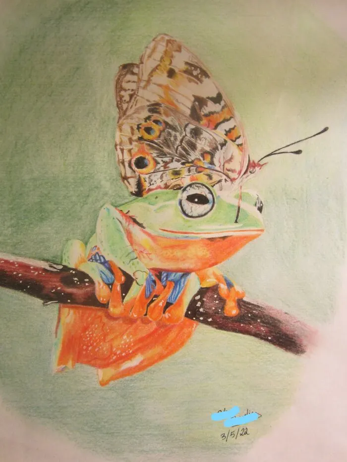Frog