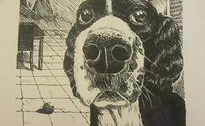 I Started Drawing Hyper-Realistic Art Using Pencil Crayons 3 Years Ago, Here Are 15 Of My Best Works