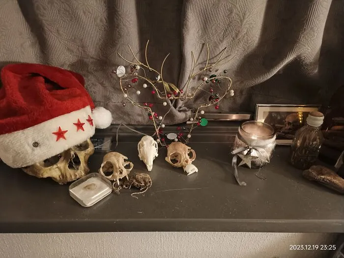 Karel And His Pets, Xmas Style