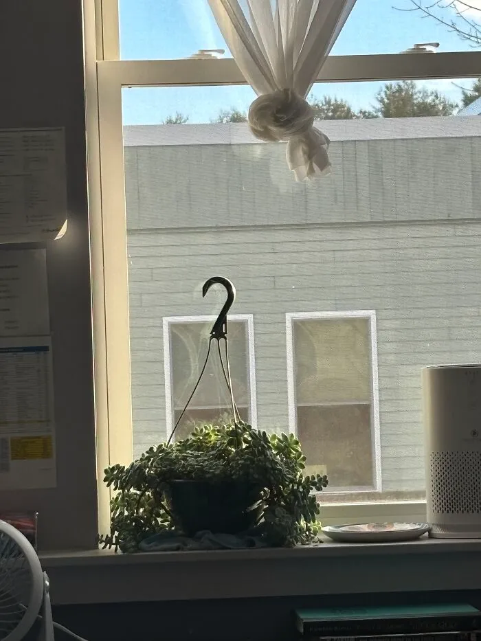 Random Photo From My High School