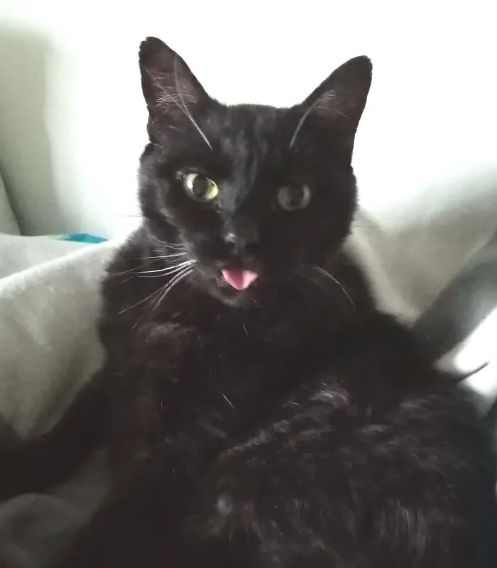 Jonah & His Best Blep