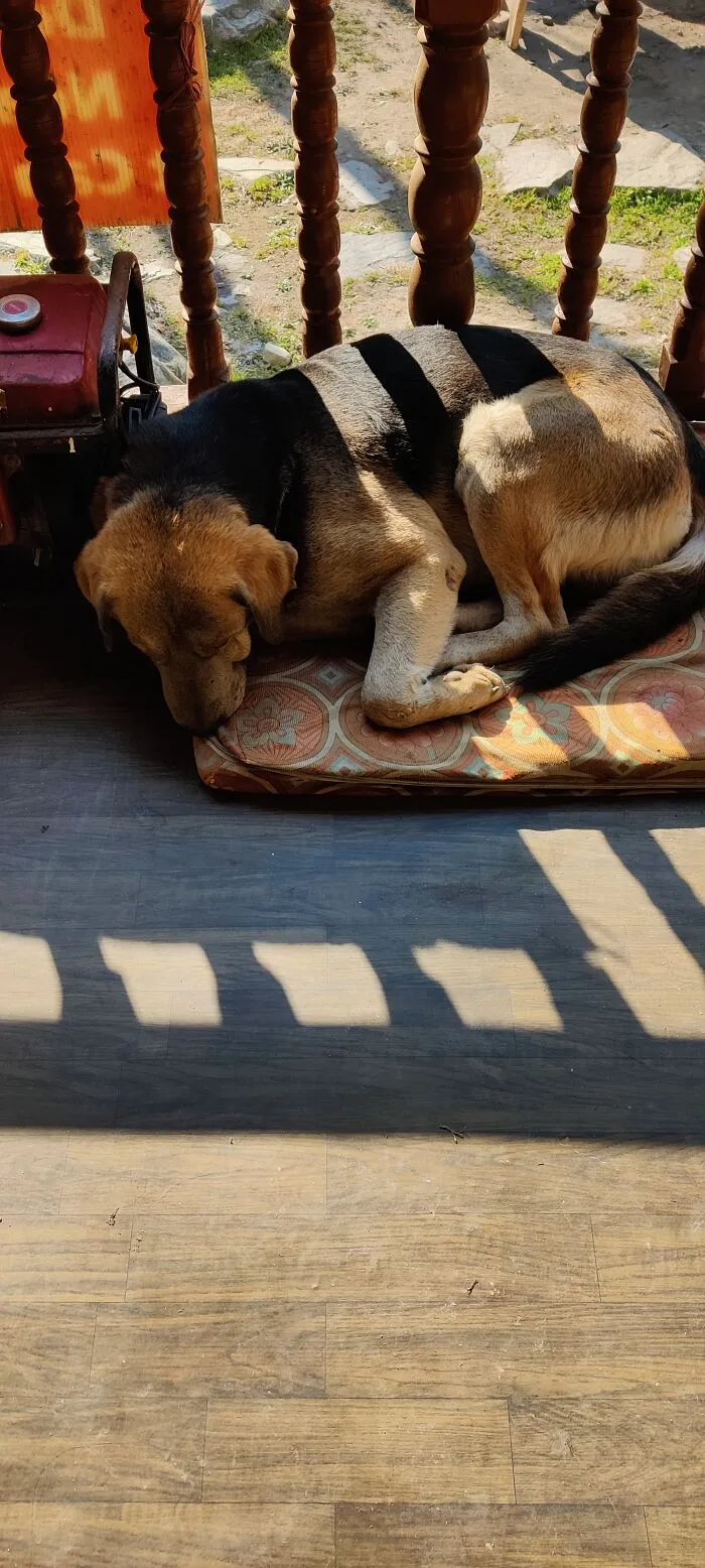 Sleepy Time
