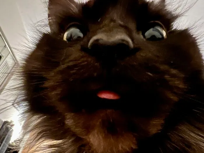 What I Usually See First Thing In The Morning