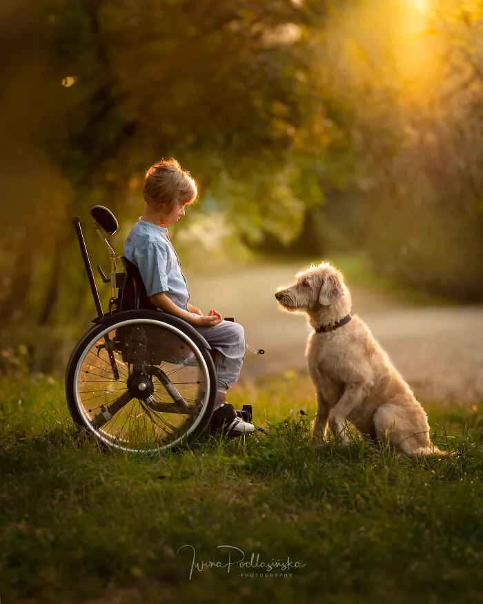 A Boy And His Dog