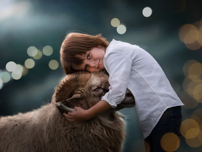 A Boy Meeting A Ram