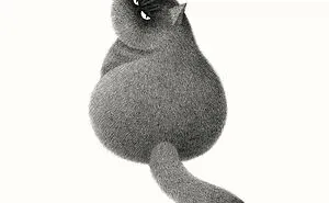 70 New Illustrations By Kamwei Fong Featuring Fluffy And Grumpy Cats