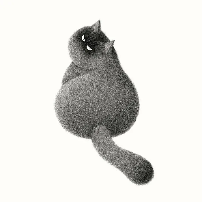 Kamwei Fong's Cute Cats (New Pics)
