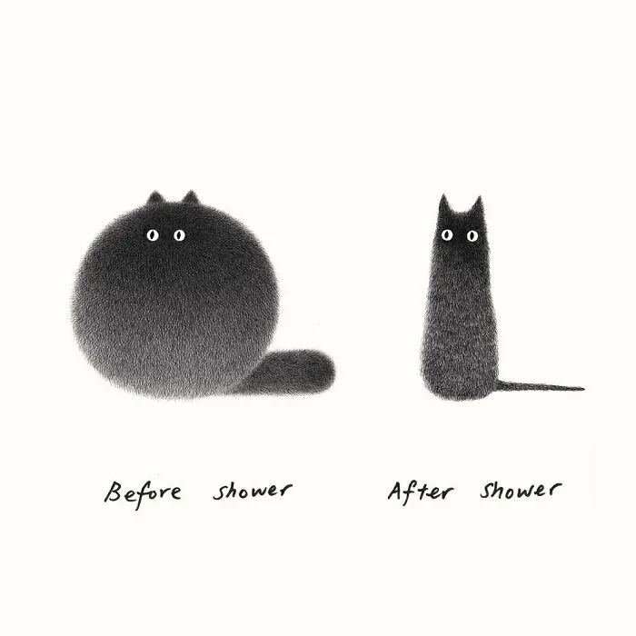 70 New Illustrations By Kamwei Fong Featuring Fluffy And Grumpy Cats