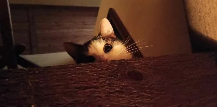 I See You... Always... Wherever You Go
