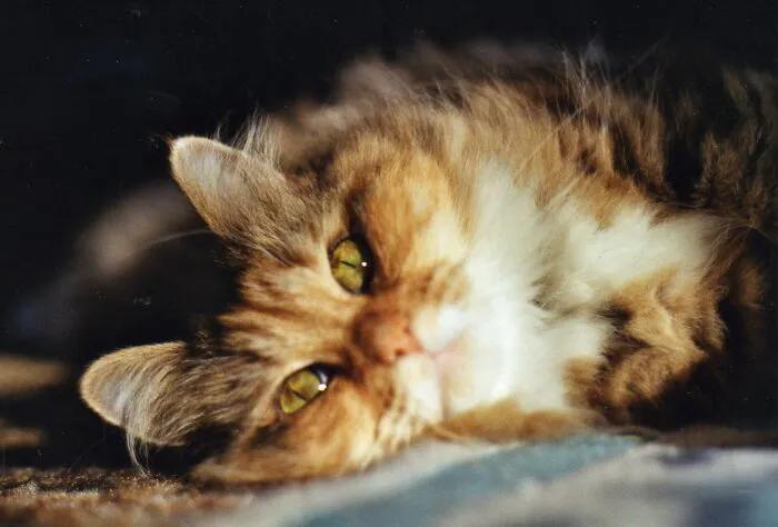 Beautiful Marnie. I Didn't Have Her Long Enough