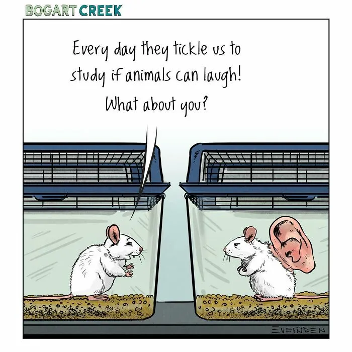 35 Hilarious One-Panel Comics By Derek Evernden With Darker Undertones (New Pics)