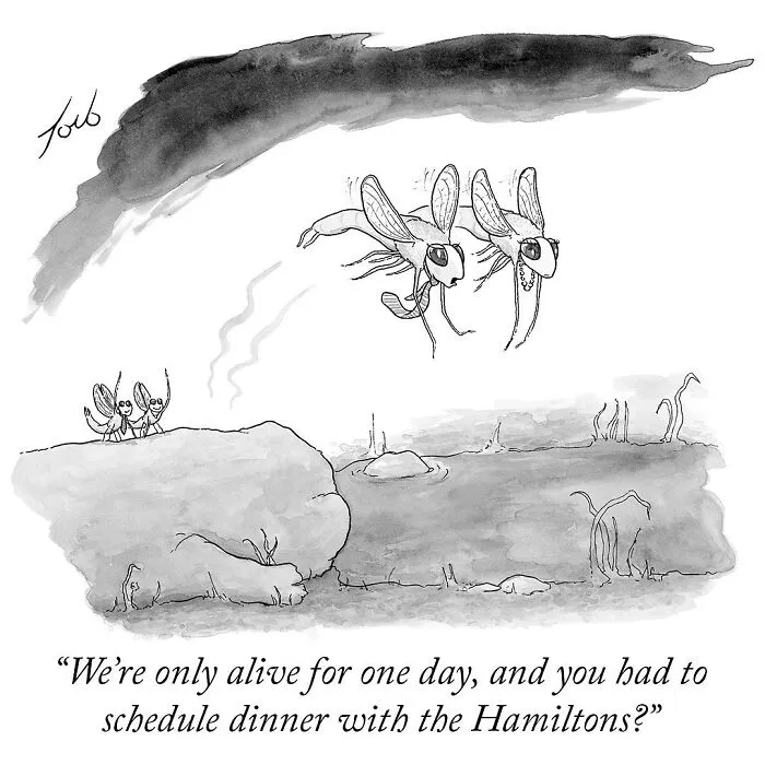 40 Witty One-Panel Comics By The New Yorker Cartoonist Tom Toro