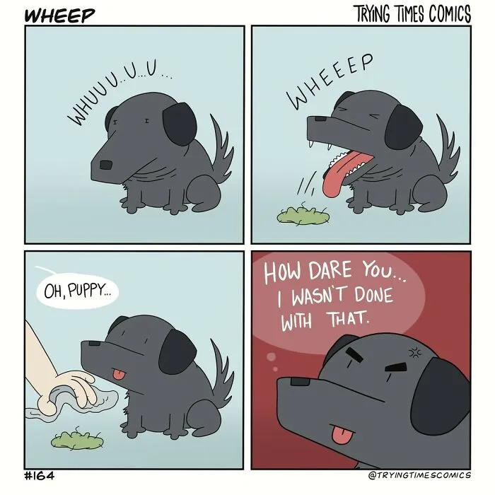40 Latest Short And Funny Comics By Trying Times Comics (New Pics)