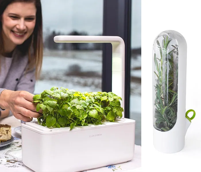 Forecast: 100% Chance Of Growth! Gear Up With <a Style="Display:inline;" Href="Https://Clickandgrow.com" Target="_blank"> <span Style="Font:inherit;color:#d74b1f;"> Clickandgrow.com </Span> To Create The Indoor Garden Plot Twist Of Your Dreams—where The Only Bugs Are The Ones In Your Software.
