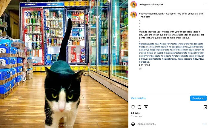 Bodega Cats Of New York