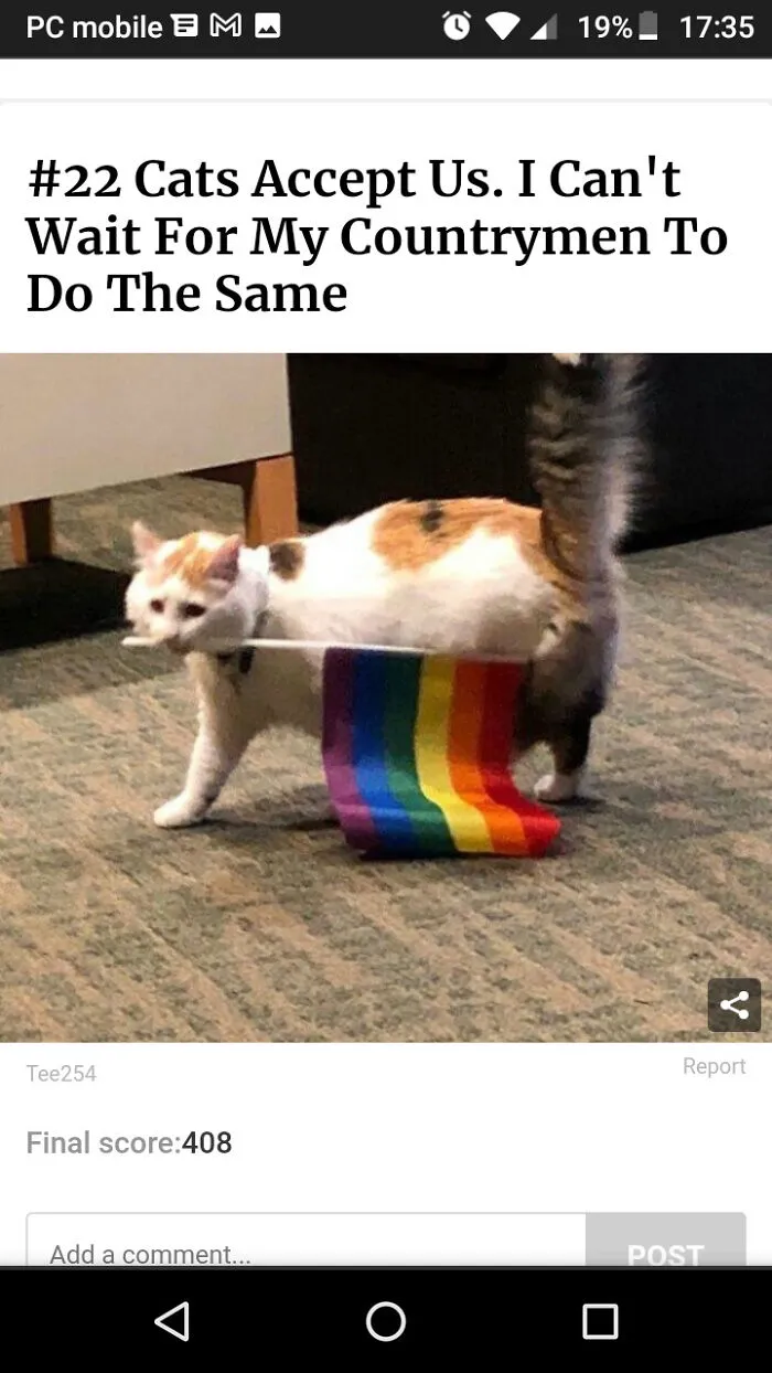🏳️🌈🐈