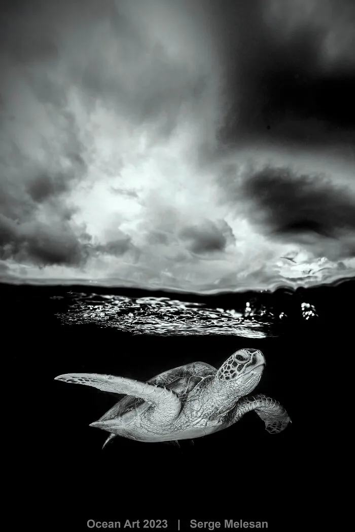 Honorable Mention In Black & White: "Just Below" By Serge Melesan