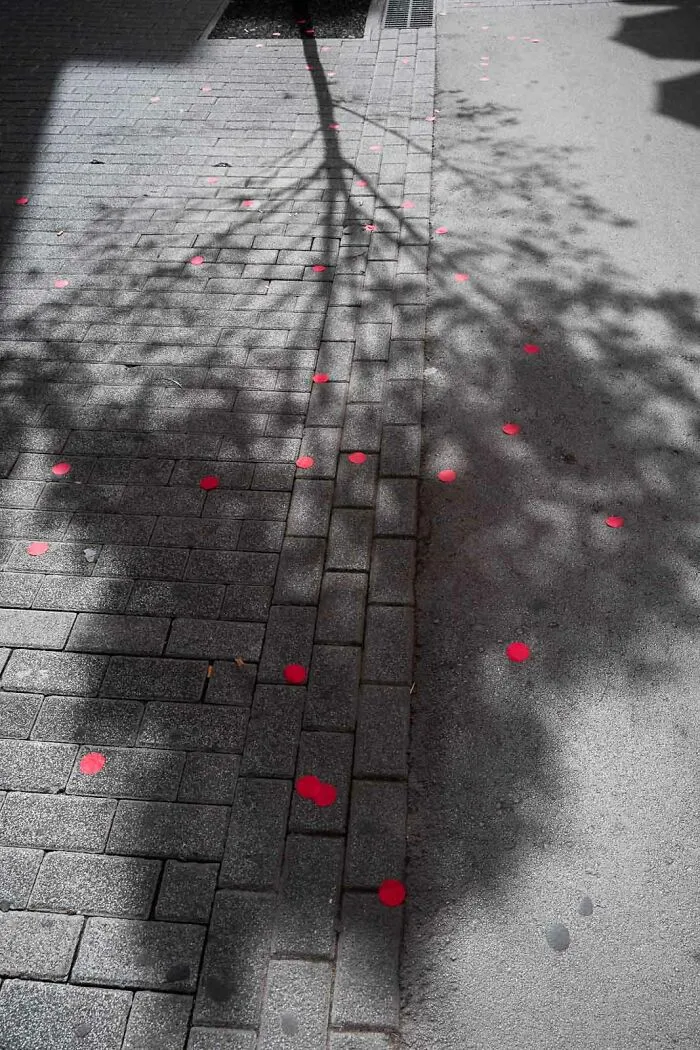 30 Divertidas coincidencias captadas en las calles por este fotógrafo (nuevas fotos)