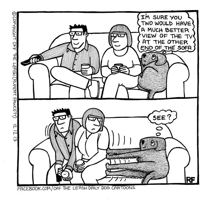45 Relatable Comics About The Reality Of Owning A Dog From The Series “Off The Leash”