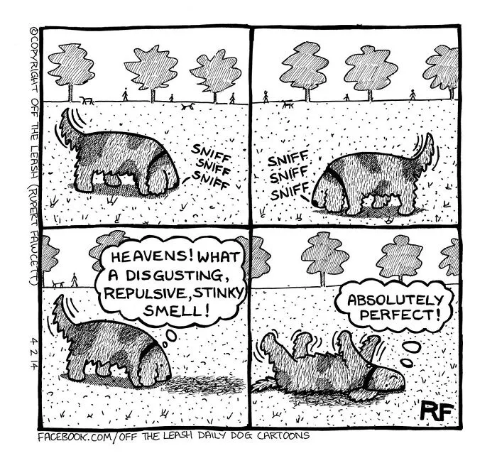 45 Relatable Comics About The Reality Of Owning A Dog From The Series “Off The Leash”