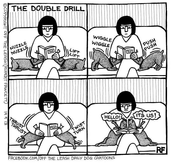 45 Relatable Comics About The Reality Of Owning A Dog From The Series “Off The Leash”