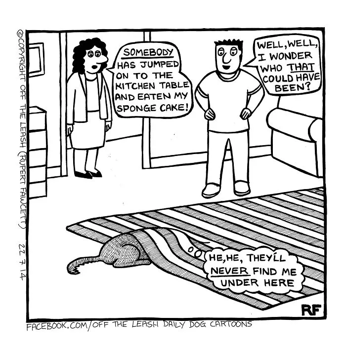 45 Relatable Comics About The Reality Of Owning A Dog From The Series “Off The Leash”