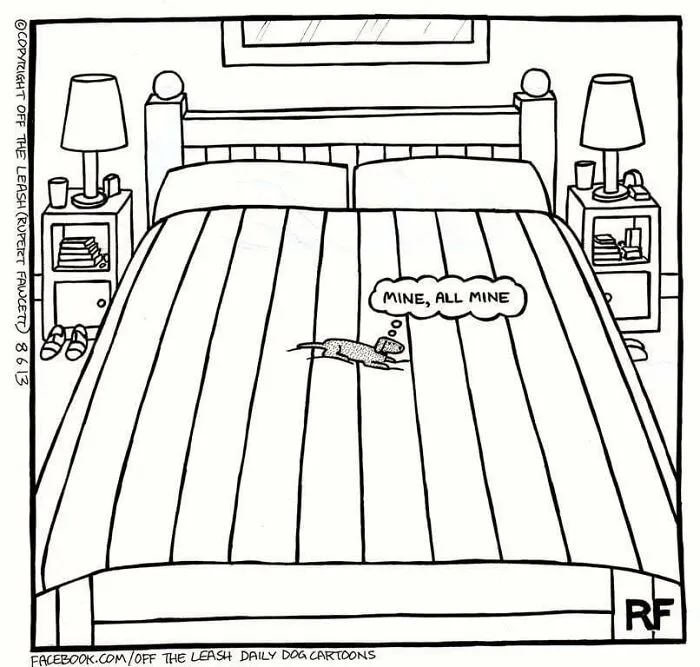 45 Relatable Comics About The Reality Of Owning A Dog From The Series “Off The Leash”