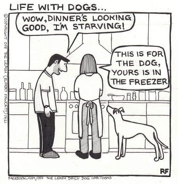 45 Relatable Comics About The Reality Of Owning A Dog From The Series “Off The Leash”
