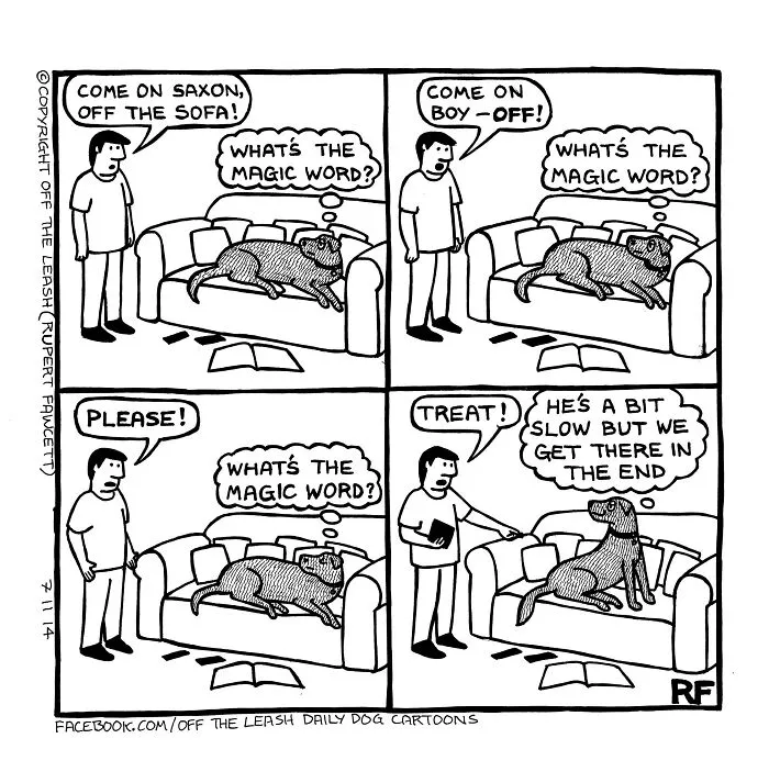 45 Relatable Comics About The Reality Of Owning A Dog From The Series “Off The Leash”