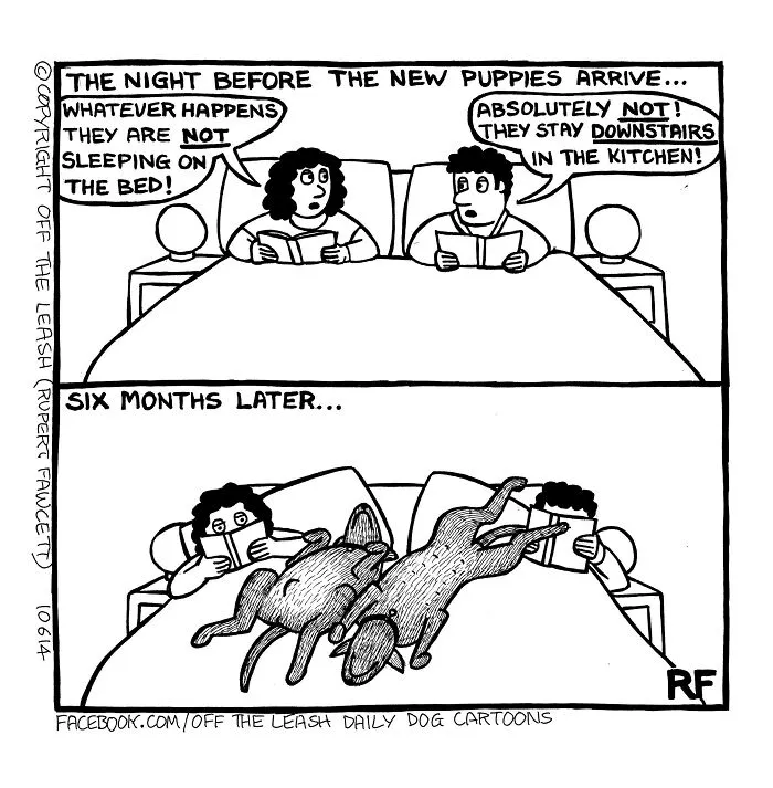 45 Relatable Comics About The Reality Of Owning A Dog From The Series “Off The Leash”
