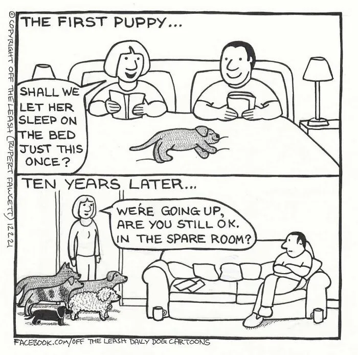 45 Relatable Comics About The Reality Of Owning A Dog From The Series “Off The Leash”
