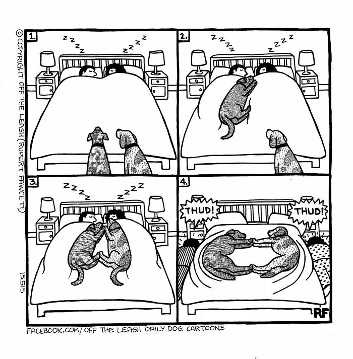 45 Relatable Comics About The Reality Of Owning A Dog From The Series “Off The Leash”