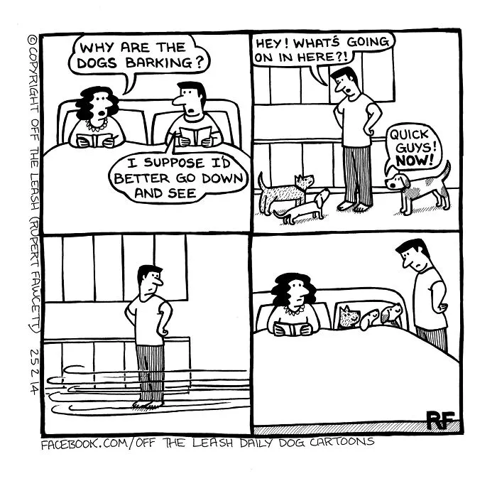 45 Relatable Comics About The Reality Of Owning A Dog From The Series “Off The Leash”