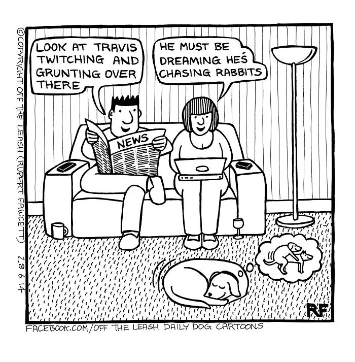 45 Relatable Comics About The Reality Of Owning A Dog From The Series “Off The Leash”